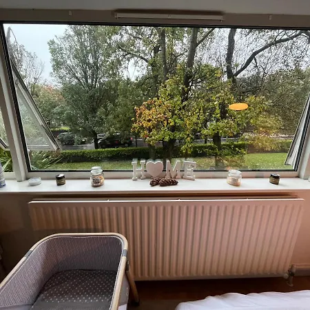 Peaceful Studio Apt W/2 Beds ホテル