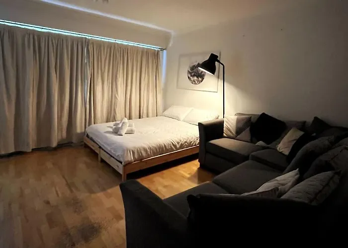 Peaceful Studio Apt W/2 Beds Dublin