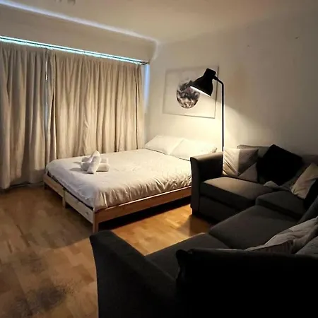 Peaceful Studio Apt W/2 Beds Dublín